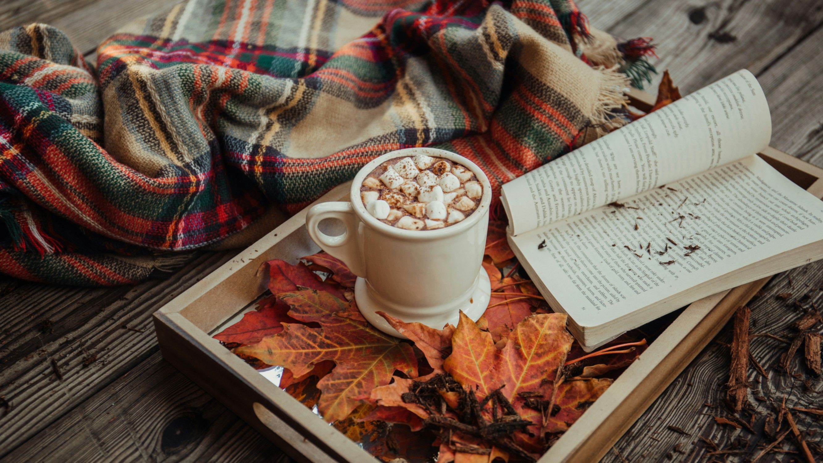 image d'un plateau d'automne avec une tasse de café et un livre ouvert ; à côté d'un plaid écossais.